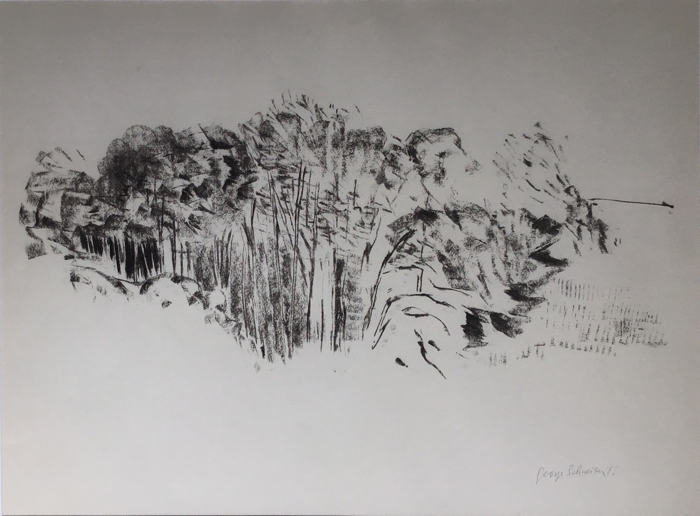 <i>Paysage</i> 1975 – Fusain, Papier