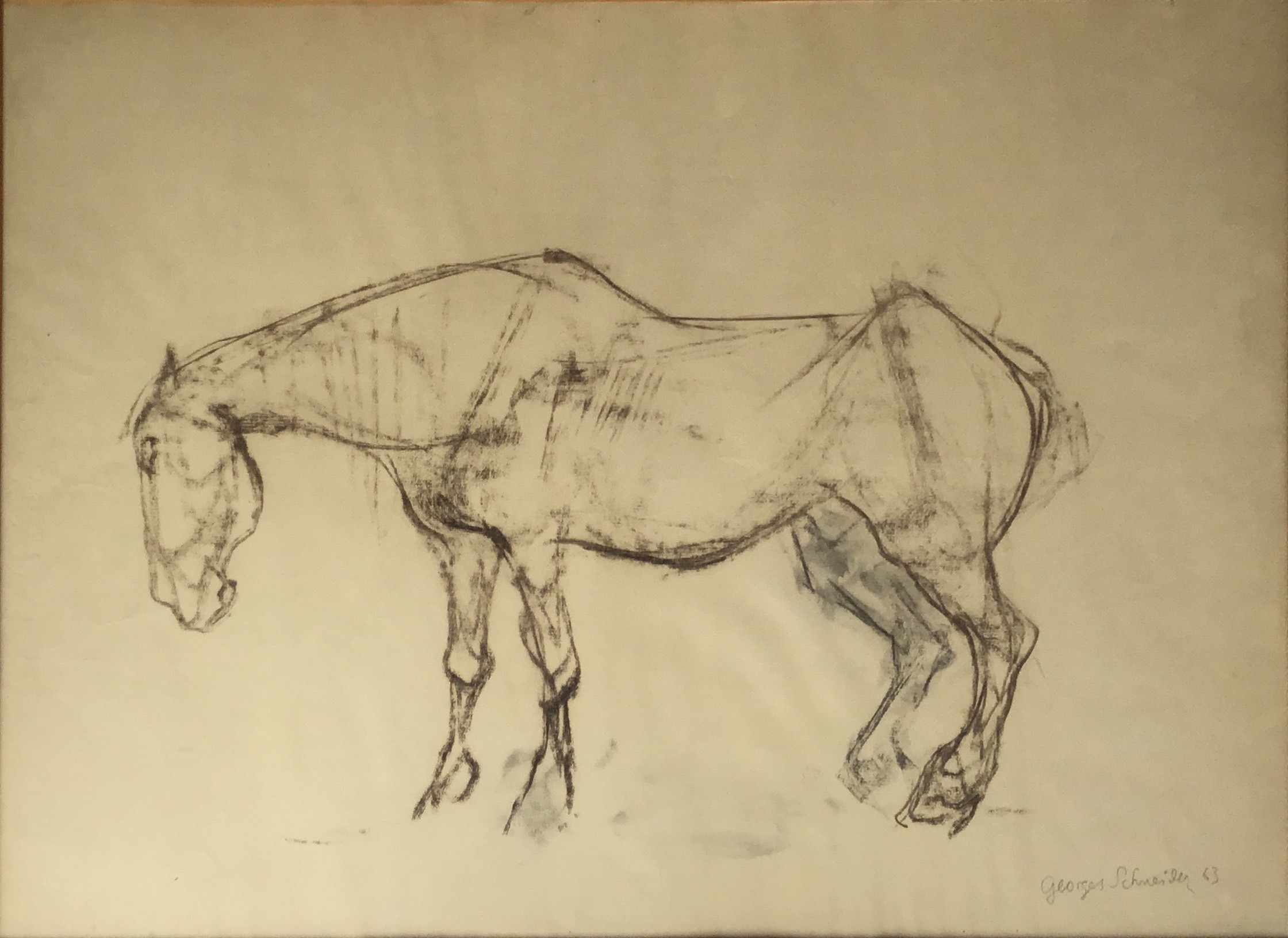 <i>Cheval</i> 1963 – Fusain, Papier