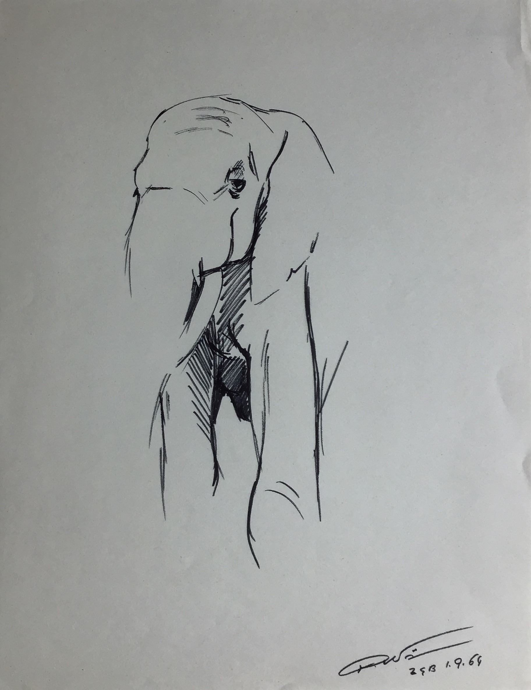 <i>Pachyderme</i> 1964 – Feutre, Papier